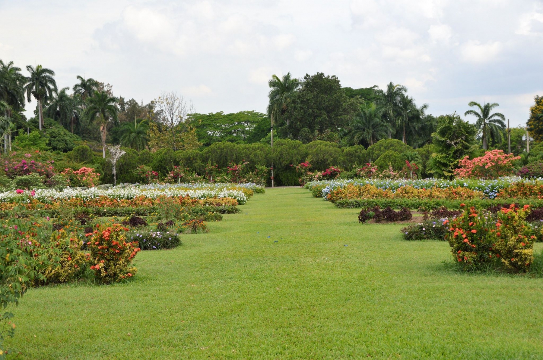 Hope Gardens Jamaica