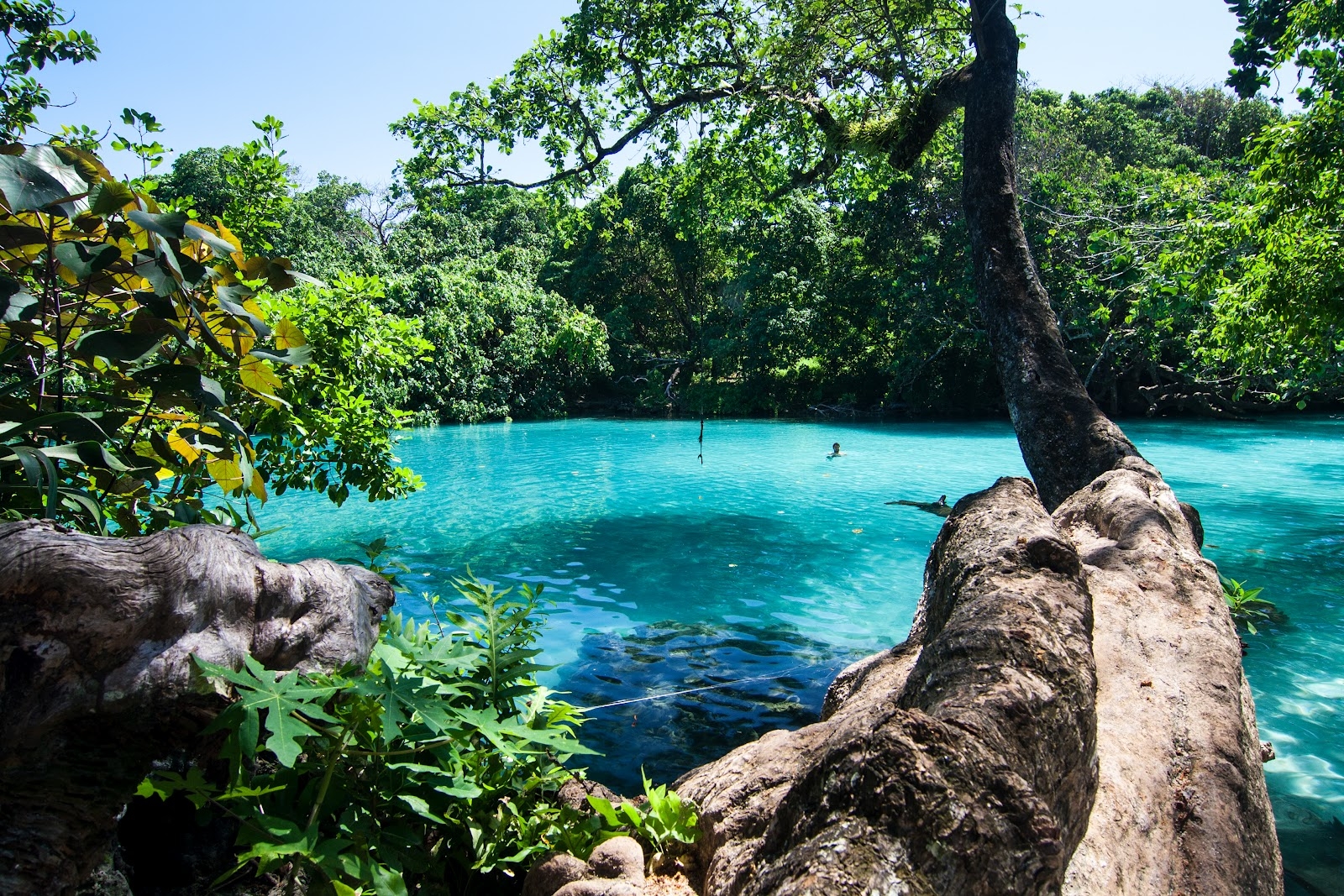blue-lagoon-jamaica